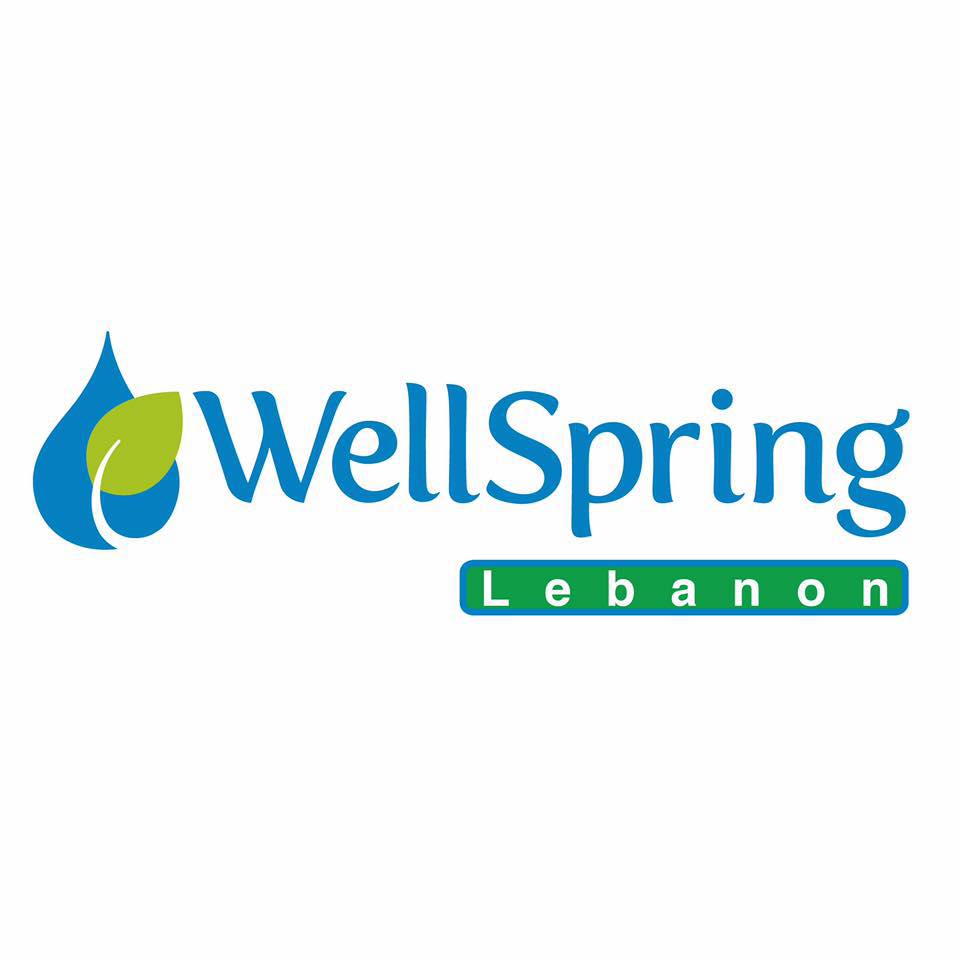 Wellspring Learning Community